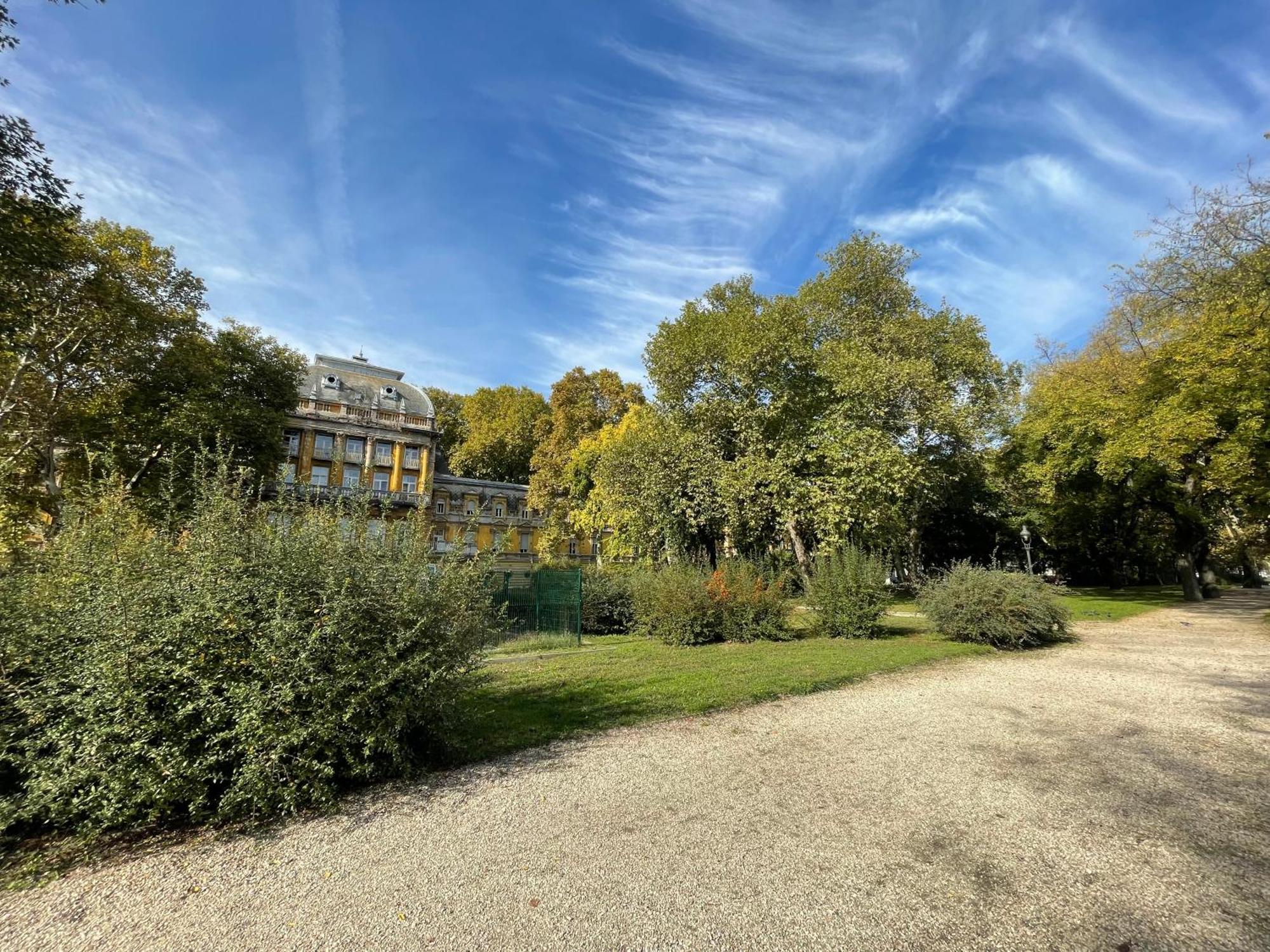 Margaret Apartment Next To The Lukacs Spa With Panorama Danube 布达佩斯 外观 照片