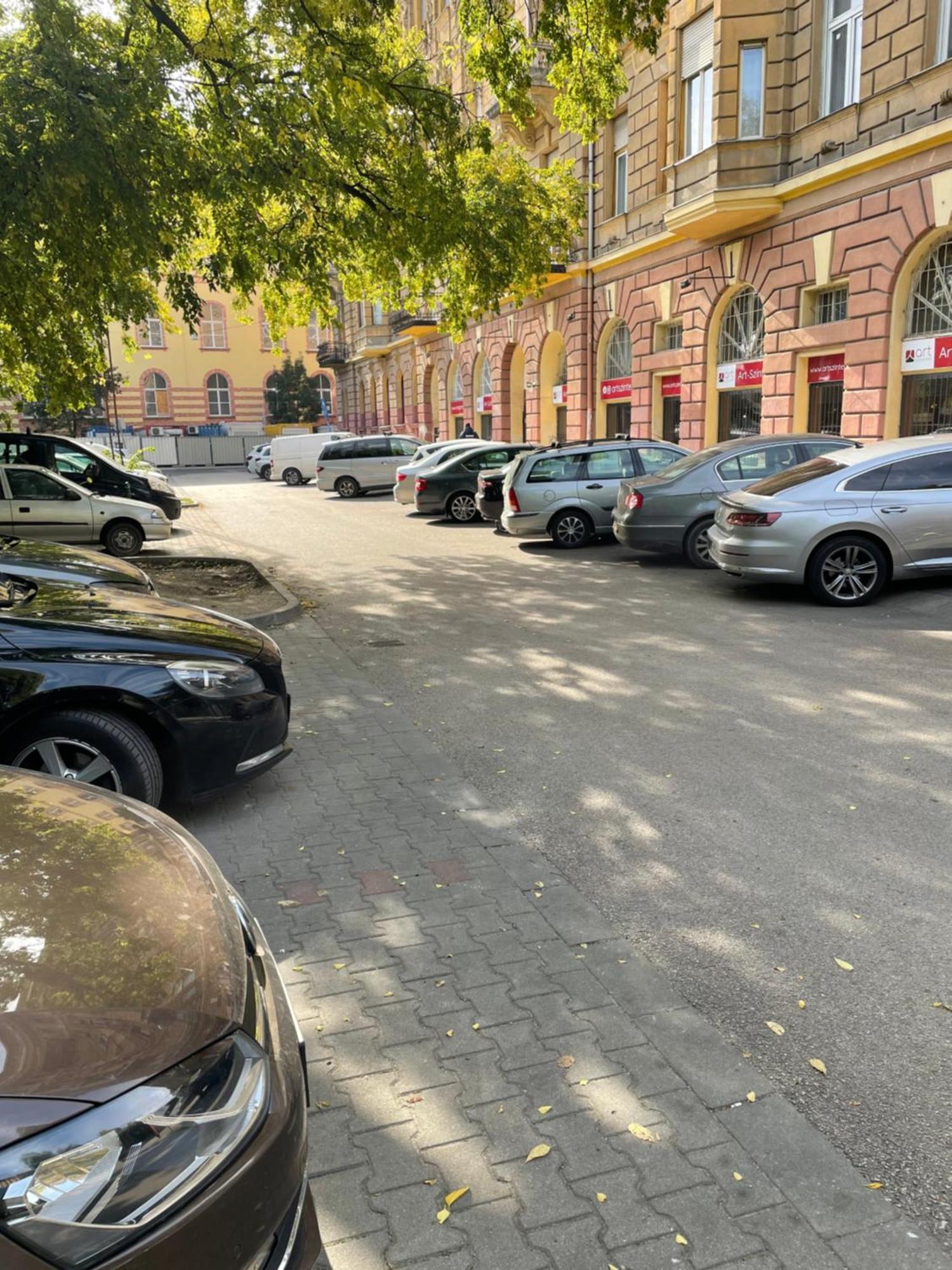 Margaret Apartment Next To The Lukacs Spa With Panorama Danube 布达佩斯 外观 照片